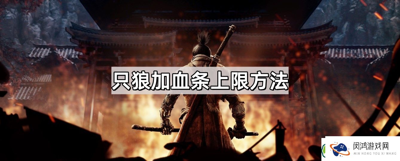 只狼血条提升技巧 - 如何有效增加加血条上限