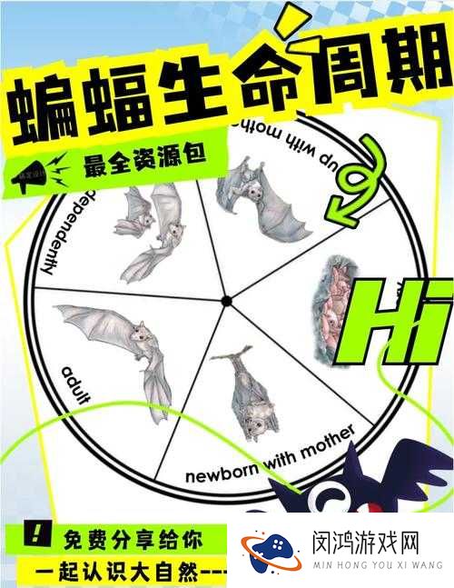 天天风之旅蝙蝠探测器装备图鉴,蝙蝠探测器介绍