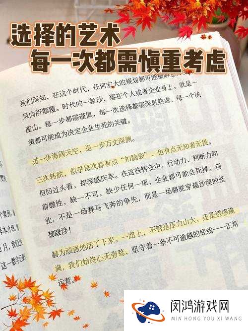 天天风之旅,揭秘36关岔路选择的艺术