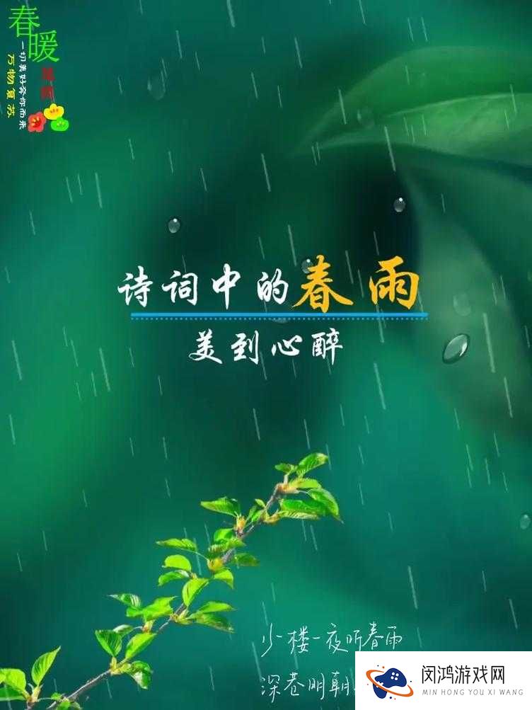 如何免费下载春雨2024?最新资源获取指南与实用技巧分享