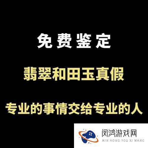 鉴定师在线观看下载:如何免费获取高清资源及完整观看指南