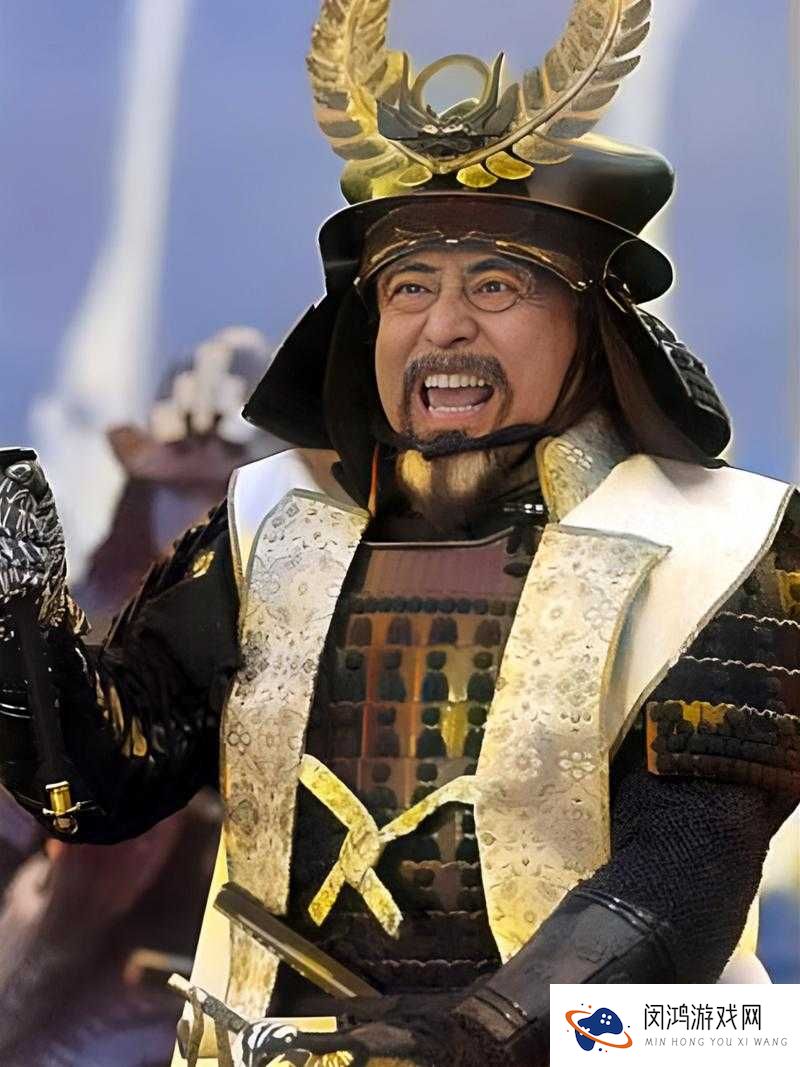 冒险与挖矿,揭秘丰臣秀吉的实战价值与技能奥秘