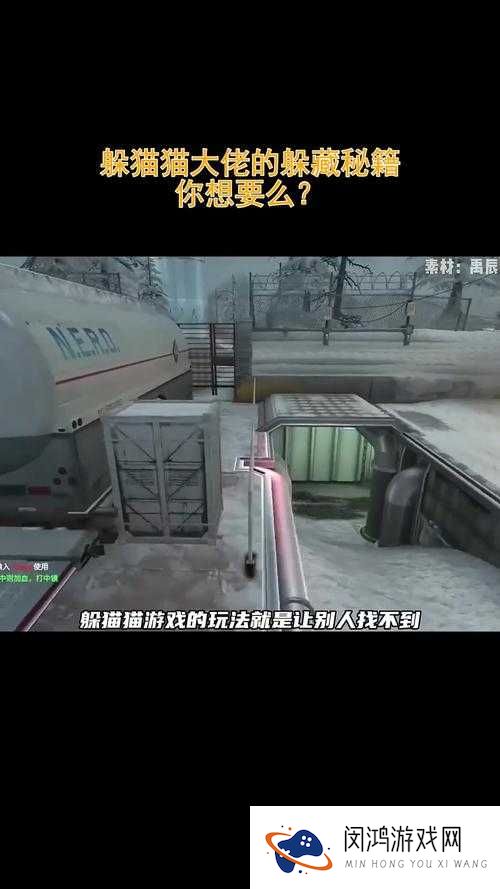 全民枪战躲猫猫模式搜寻秘籍,解锁搜寻高手之路