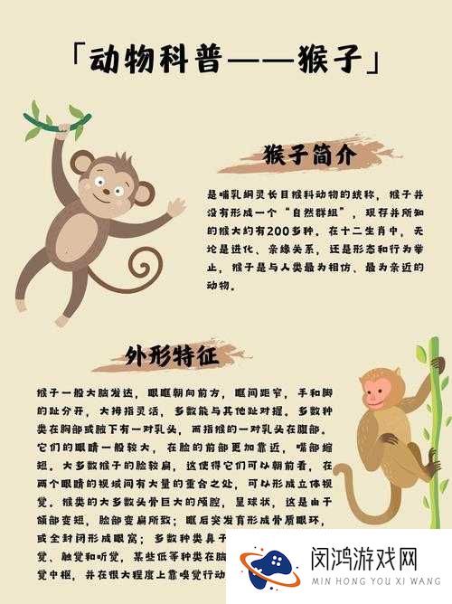 根据两人扑克牌游戏,探讨生猴子背后的文化现象与社会影响