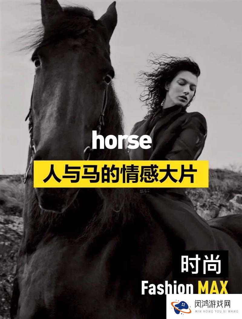 马和人的奇特互动:他们在小说中究竟是怎样一起玩耍的?