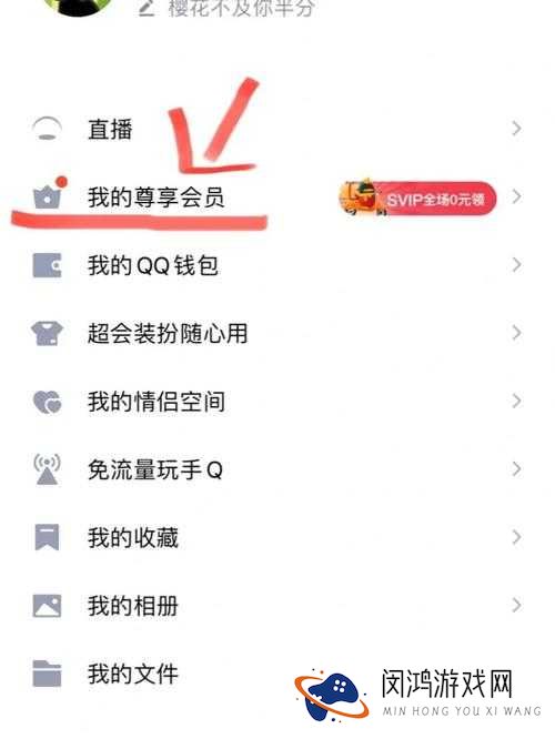 CF手游会员特权与QQ会员尊享权益全面揭秘与深度解析