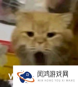 《抖音》家里都开始搭棚子了梗的意思介绍