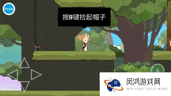 追逐繁星的兔子