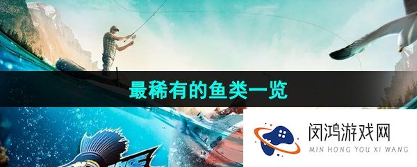 欢乐钓鱼大师最稀有的鱼有哪些-最稀有的鱼一览