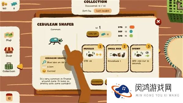 斗虫公园