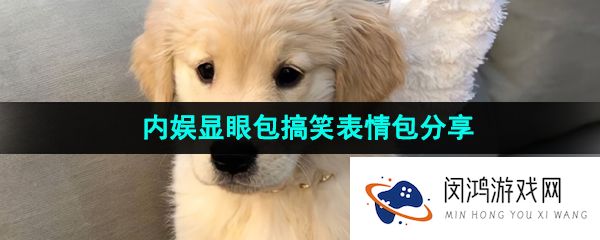 抖音内娱显眼包表情包有哪些-内娱显眼包搞笑表情包分享