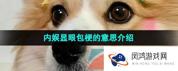 抖音内娱显眼包是什么梗-内娱显眼包梗的意思介绍