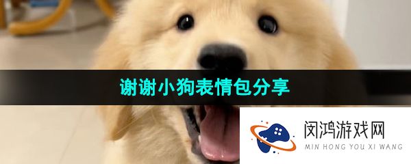《抖音》谢谢小狗表情包分享