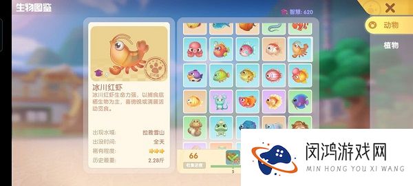 摩尔庄园手游冰川红虾在哪钓