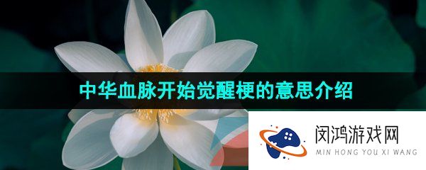 抖音中华血脉开始觉醒是什么梗-中华血脉开始觉醒梗的意思介绍