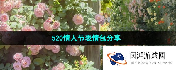 抖音520有哪些表情包-520表白表情包有哪些-520玩梗表情包有哪些
