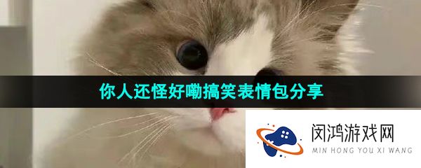 抖音你人还怪好嘞表情包有哪些-你人还怪好嘞搞笑表情包分享