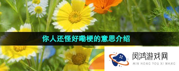 抖音你人还怪好嘞是什么梗-抖音你人还怪好嘞是什么意思