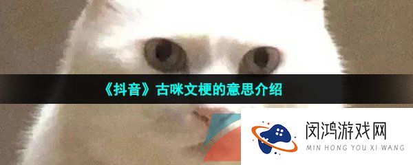 抖音古咪文是什么梗-古咪文梗的意思介绍