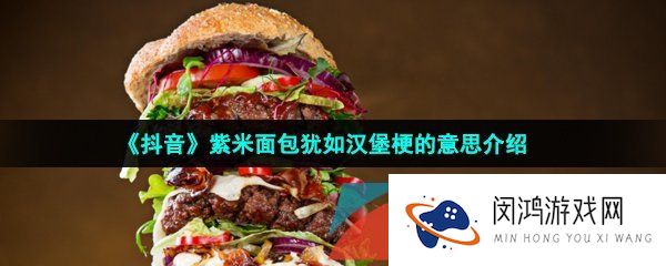 抖音紫米面包犹如汉堡是什么意思-紫米面包犹如汉堡梗的意思介绍