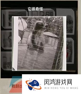 《看不见的真相》被藏匿的照片通关攻略