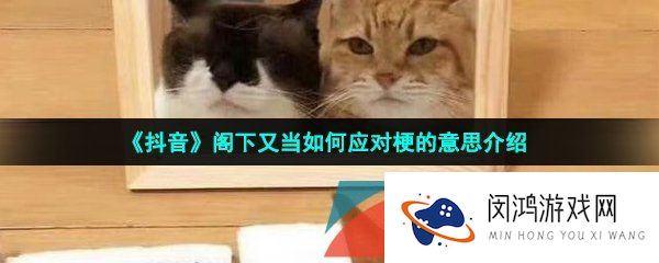 假如我是说假如阁下又当如何应对是什么梗-阁下又当如何应对梗的意思介绍