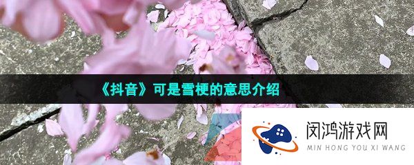 《抖音》可是雪distance梗的意思介绍