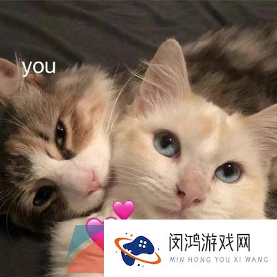 《抖音》雪distance太痛了梗的意思介绍