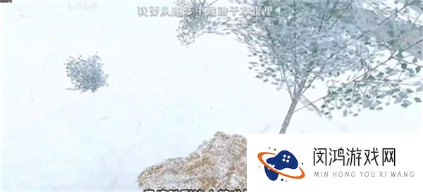 逃离家暴