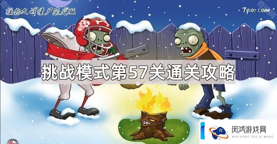 全面解析与技巧分享