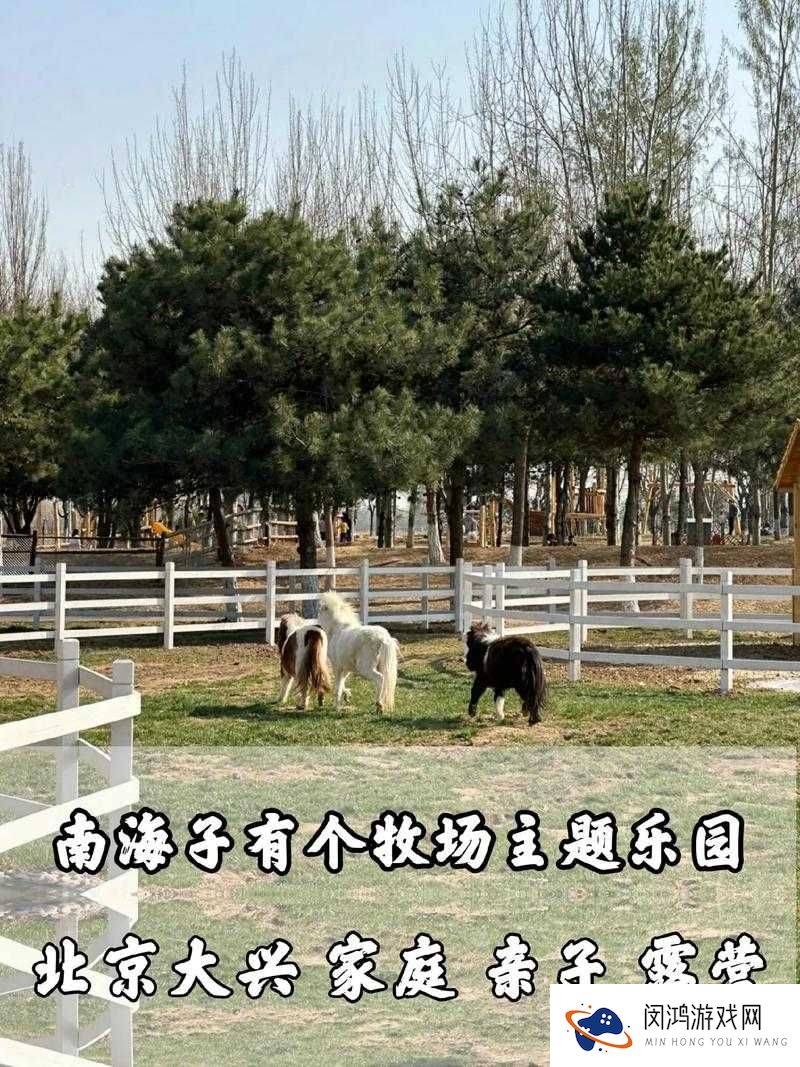 ZoomkooL 牧场究竟有何独特魅力？带你深入探索这个神秘农场