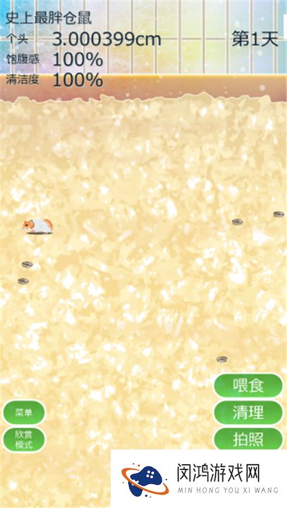 治愈仓鼠养成
