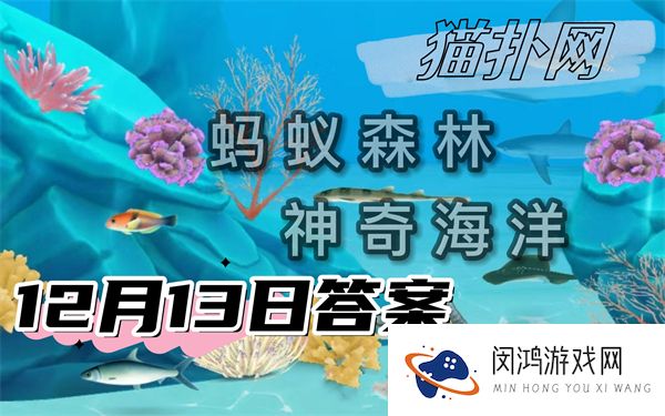 蚂蚁森林神奇海洋12月13日答案2024-在我国以下哪种蟹属于外来物种