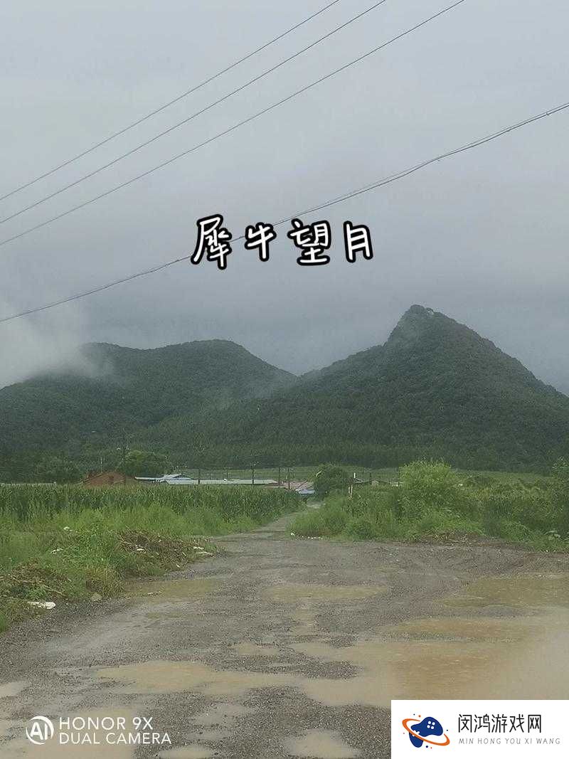 九阴真经手游武当犀牛望月，进阶效果究竟如何引发玩家热议？