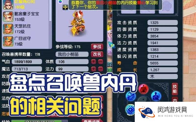 梦幻西游手游宠物内丹效果全揭秘，哪些内丹能让宠物战力飙升？