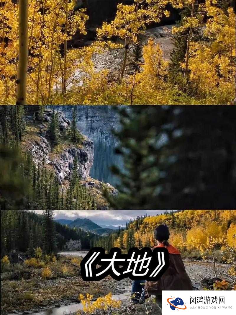 大地在线播放免费观看，你能找到资源吗？
