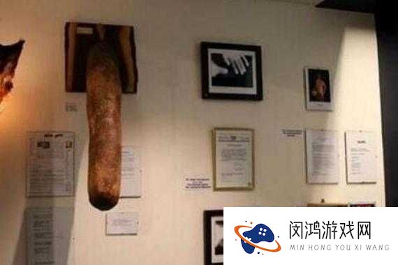 为什么欧美人的丁丁又粗又大？是种族天赋吗？