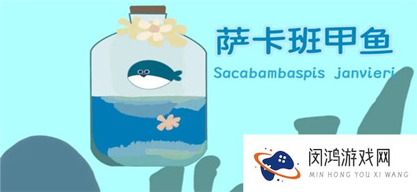 萨卡班甲鱼2025