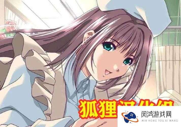 玩了就停不下来狐狸汉化组 300 部直装游戏，你玩过几部？