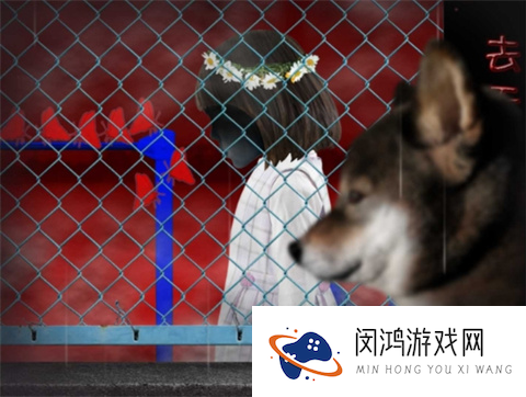 翌日波奇狗的历险记