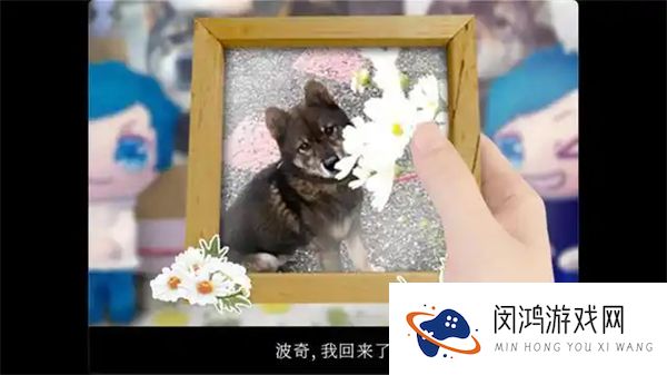 翌日波奇狗的历险记