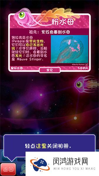 超级星鱼