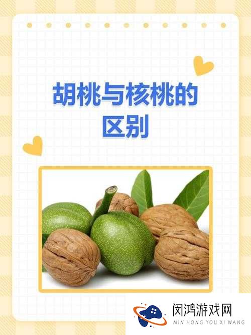 胡桃和核桃到底是不是同一个东西呢？快来一探究竟吧