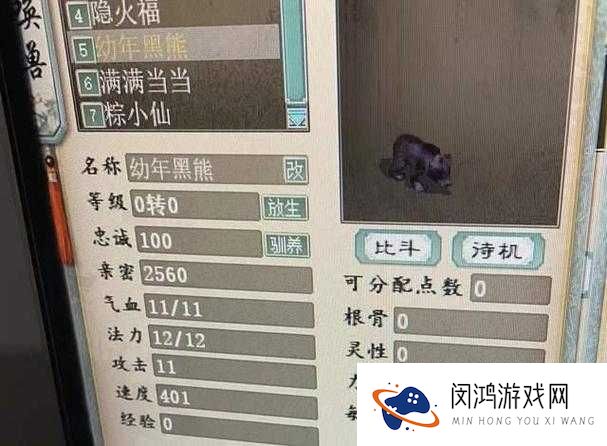 大话西游手游小黑熊资质全解析，捕捉地点与常见误解