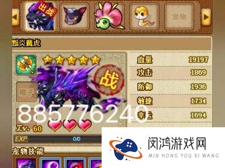 弹弹堂S宠物揭秘，高级宠物远古幼龙究竟何时震撼登场？