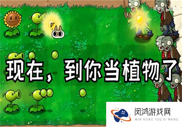 植物大战僵尸繁琐版