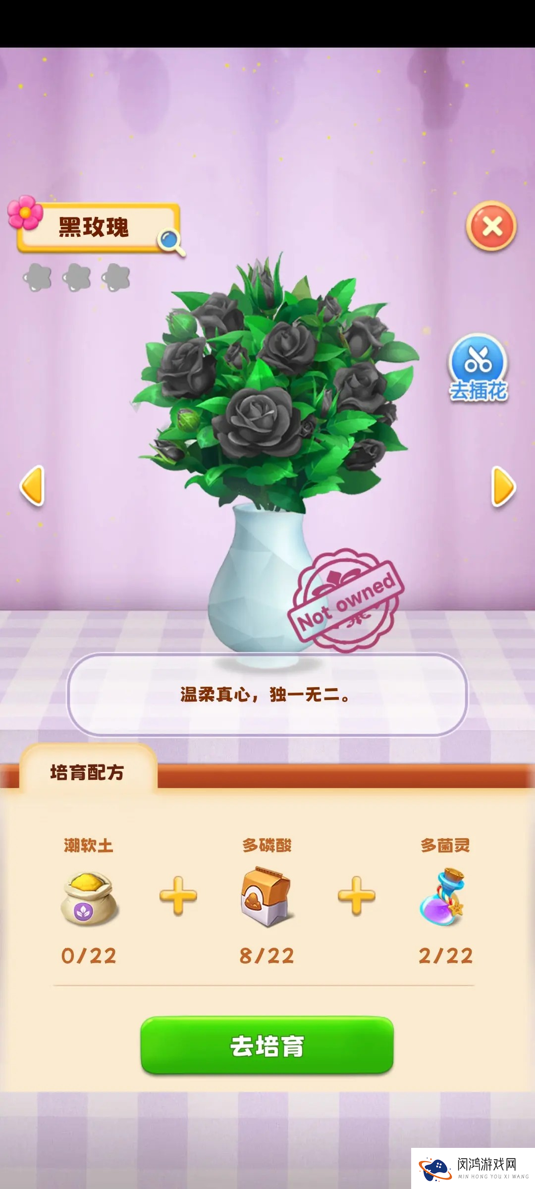 动物花店