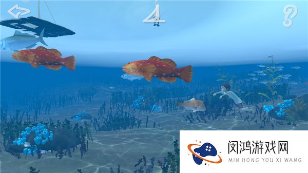 男孩与鹈鹕