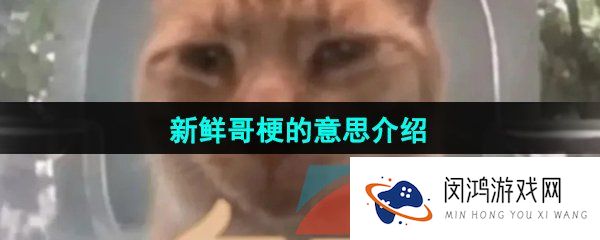 《抖音》新鲜哥梗的意思介绍