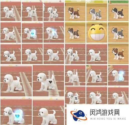 晴天小狗游戏深度培育攻略，玩家心得与技巧全面分享